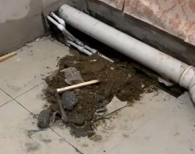 掇刀卫生间漏水检测哪家好