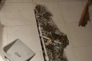 掇刀卫生间漏水检测电话